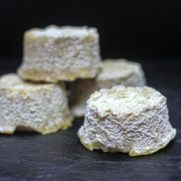 Chèvre du puy de dome blanc